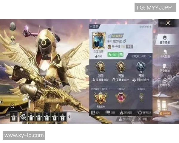 和平精英焦点BLG团队的实力分析与未来发展探讨