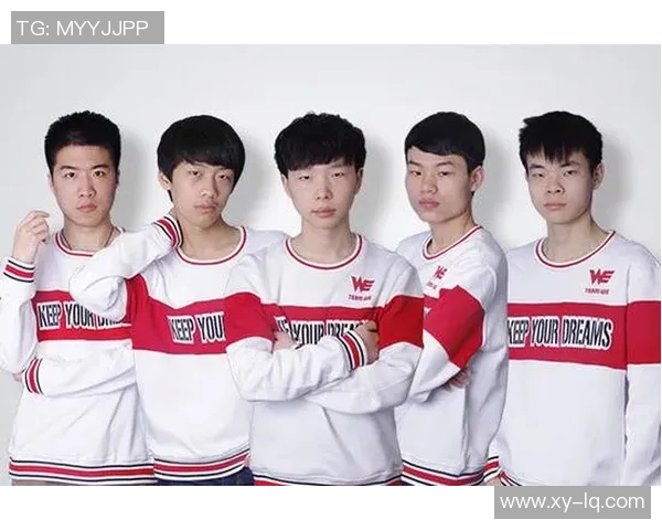 王者荣耀聚焦WE战队灵活战术与多变阵容的深度分析与探讨 王者荣耀聚焦WE战队灵活战术与多变阵容的深度分析与探讨